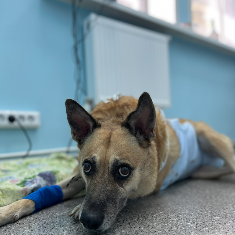 Оперативное удаление опухолей